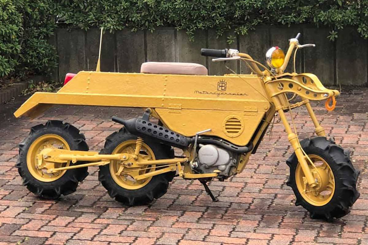 The Curious Corner of the Internet #100 🎉