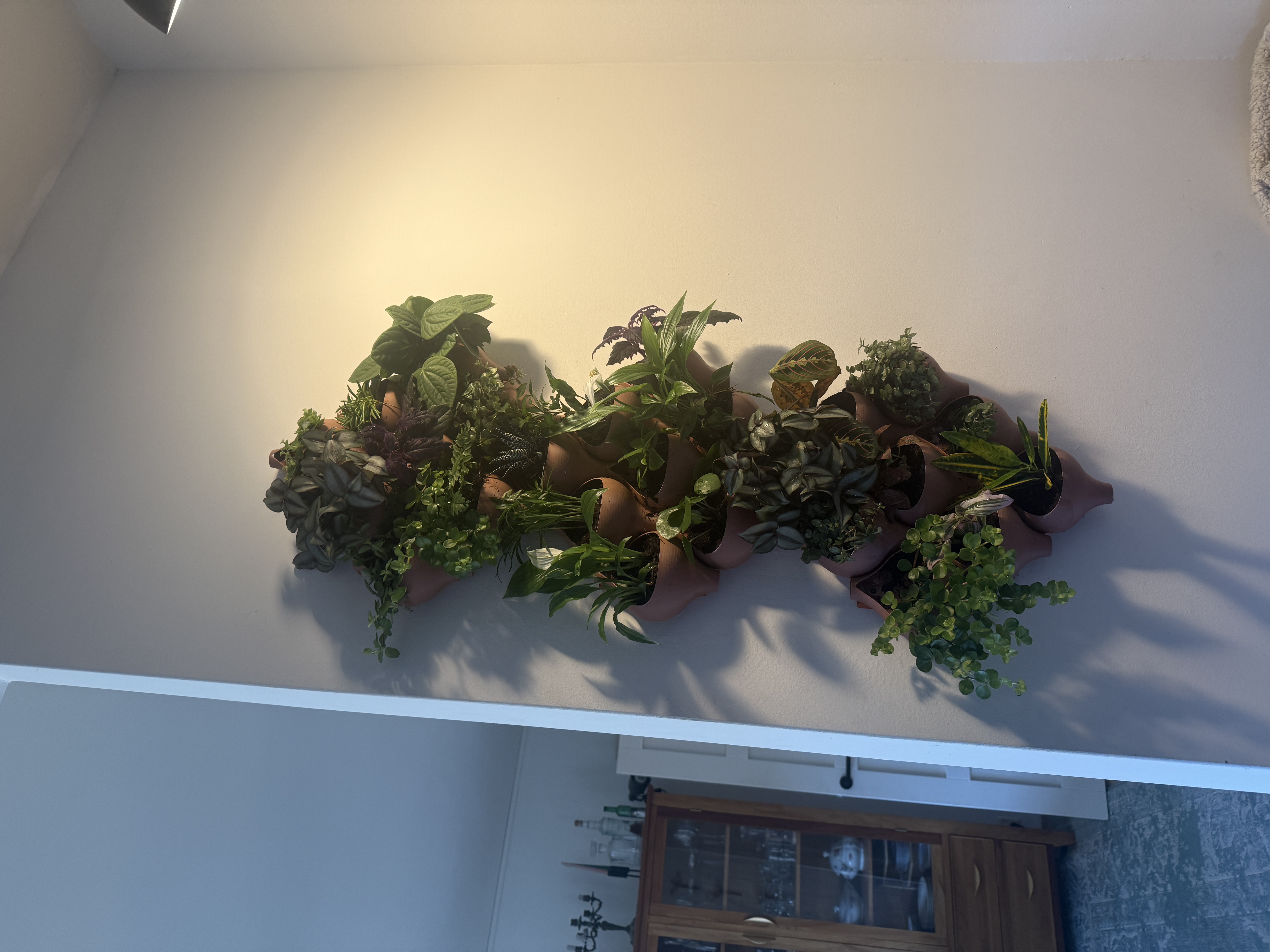 The result, a small vertical green garden